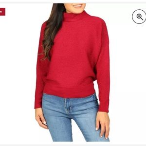 New Premise Glitter Dolman Sleeve Top Sweater